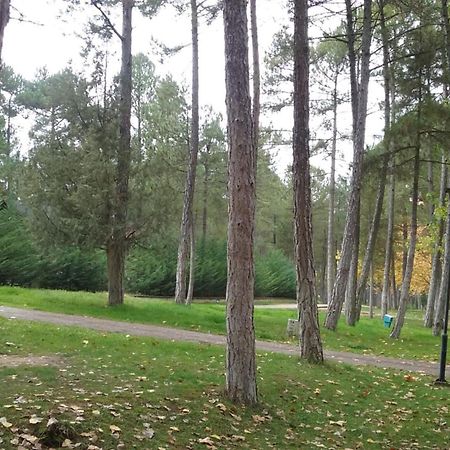 Camping Caravaning Cuenca Cuenca  Bagian luar foto