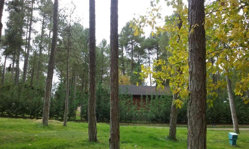 Camping Caravaning Cuenca Cuenca  Bagian luar foto