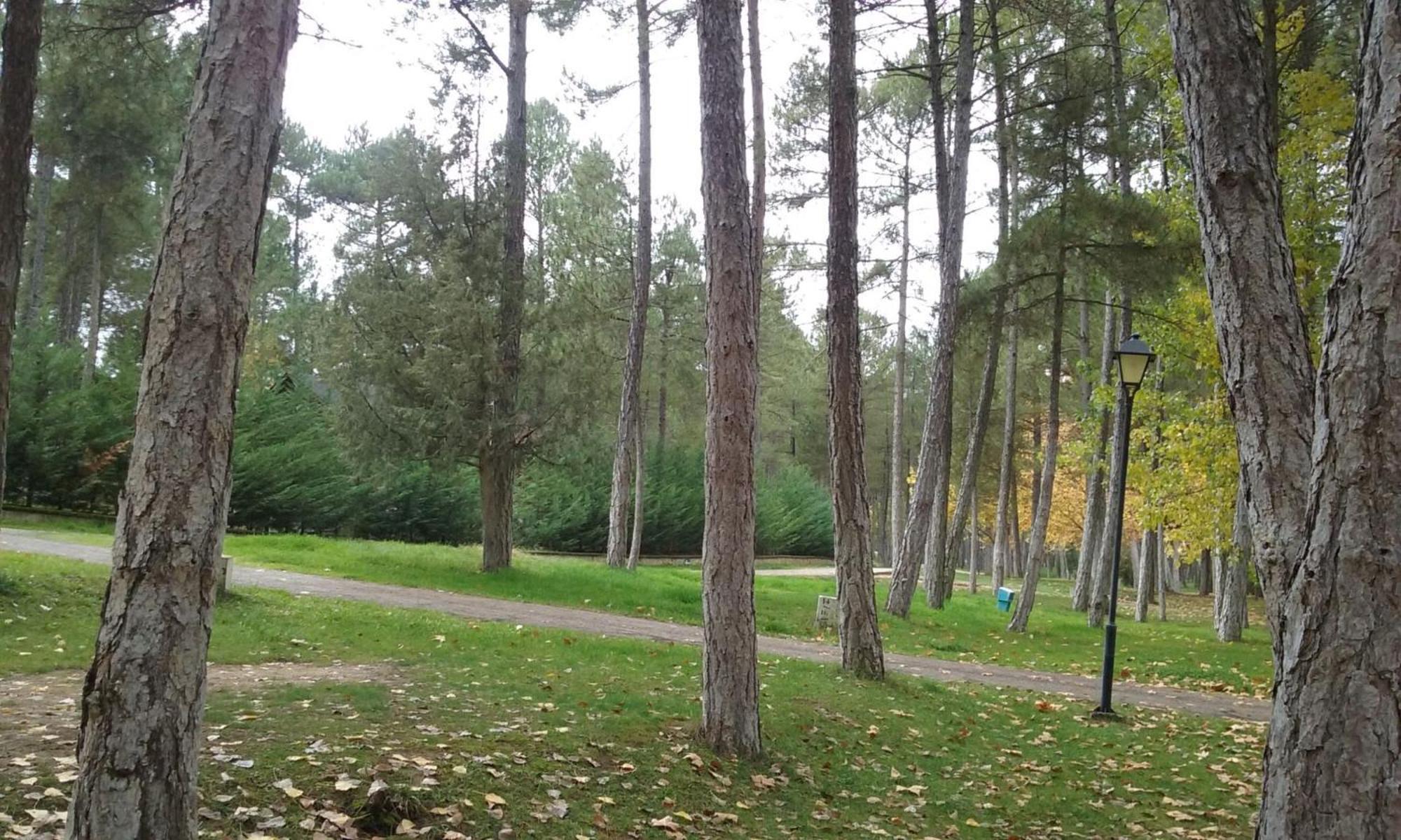 Camping Caravaning Cuenca Cuenca  Bagian luar foto