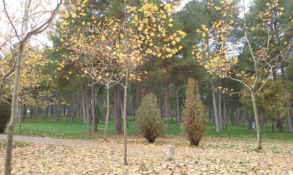 Camping Caravaning Cuenca Cuenca  Bagian luar foto
